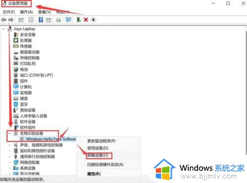windows11人脸识别怎么设置_windows11人脸识别设置步骤