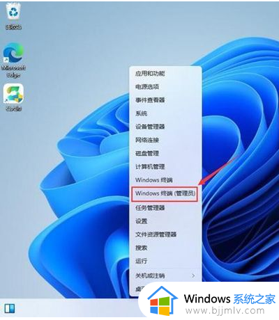 win11显示为了对电脑进行保护,已经阻止此应用如何解决