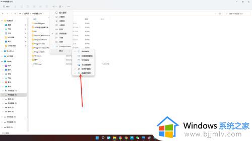 win11打开隐藏文件夹设置方法_win11怎么打开隐藏文件夹
