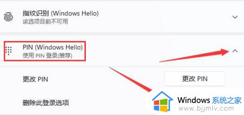 windows11取消pin密码登录设置方法_windows11怎么设置不用pin登录