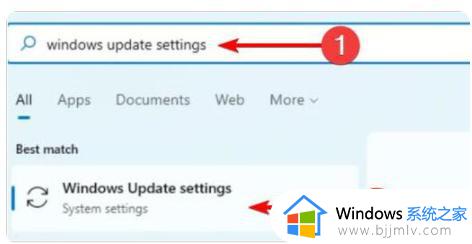 win11打开摄像头是黑的怎么办_win11摄像头打开是黑屏修复方法
