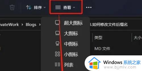 windows11怎么更改文件类型_windows11如何更改文件后缀