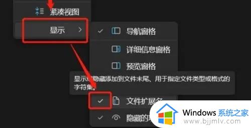 windows11怎么更改文件类型_windows11如何更改文件后缀