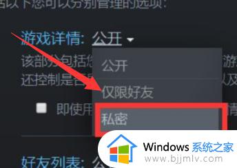 steam怎么隐藏自己在玩什么游戏_steam如何隐藏自己正在玩的游戏