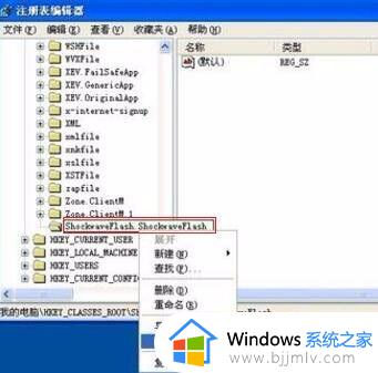 安装adobe flash player失败如何解决_adobe flash显示安装失败怎么办