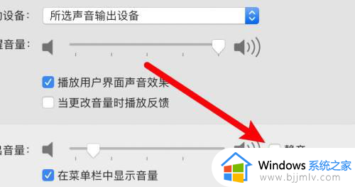 苹果装win10没有声音怎么办_苹果安装win10系统没有声音修复方法