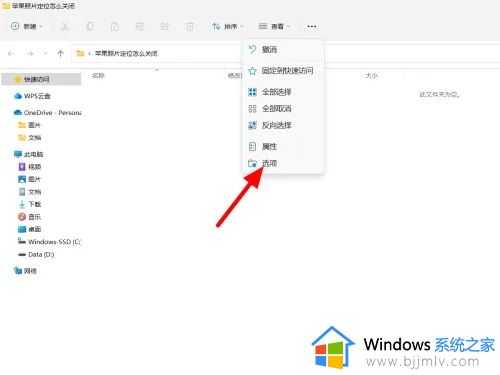 win11不显示文件后缀名怎么办_win11怎么显示文件后缀格式