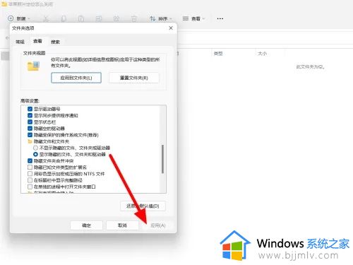 win11不显示文件后缀名怎么办_win11怎么显示文件后缀格式