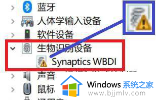 找不到支持windows hello指纹的指纹识别器处理方法
