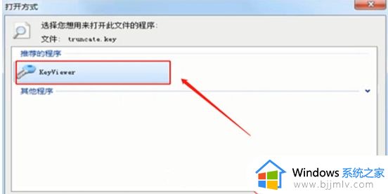 电脑.key文件怎么打开_后缀为key的文件如何打开