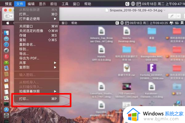 mac如何打印图片_mac系统怎么打印图片