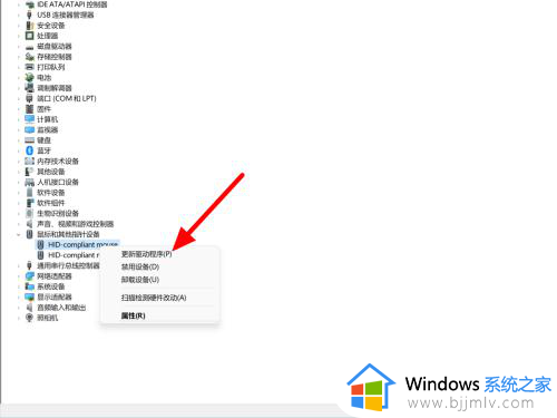 windows11鼠标失灵怎么办_win11鼠标突然没反应了怎么解决