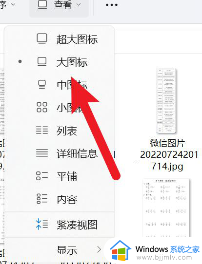 电脑文件夹怎么设置成大图标_电脑如何设置文件夹大图标显示方式