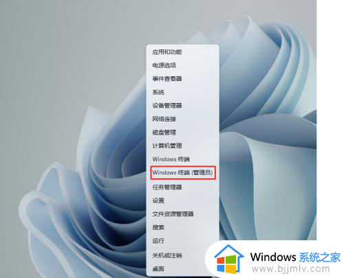 win11电源卓越模式怎么开启？win11电脑电源卓越模式如何开启