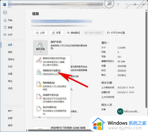 word如何加密码保护文件_word文档怎样加密保护