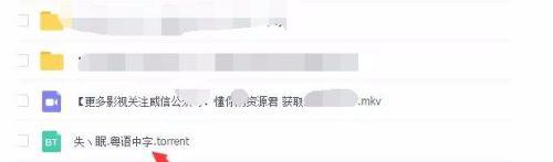 百度网盘种子怎么用_百度网盘如何用种子下载