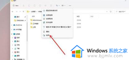 windows11文件后缀名怎么显示?显示后缀名怎么设置 win11