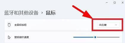 win11左右键互换方法_win11电脑系统怎么进行左右键对调