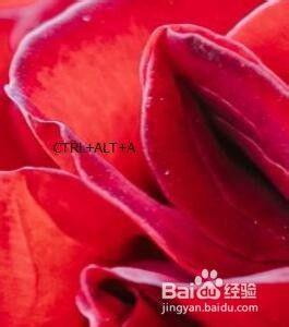 电脑桌面怎么截屏后并保存_电脑如何截屏并保存桌面