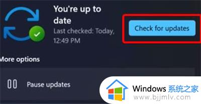 win11摄像头打开是灰色的怎么办_win11电脑摄像头显示灰色处理方法
