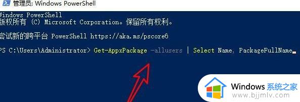 win11应用商店打不开怎么办_win11无法打开应用商店处理方法