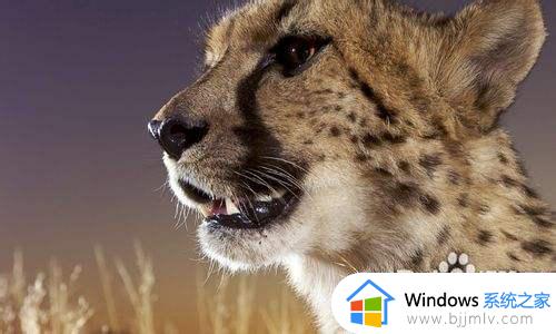 win7更换壁纸的方法_win7怎么换自己的壁纸
