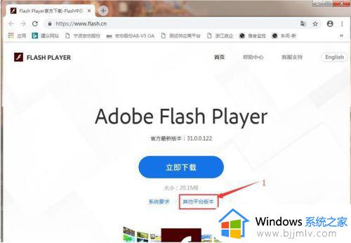 谷歌浏览器安装flash插件怎么安装_谷歌浏览器说没有安装flash解决方法