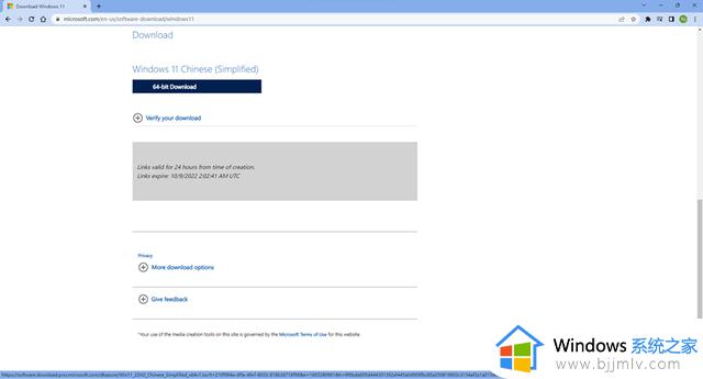 自动绕过TPM2.0和Secure Boot以及内存检查安装Windows11的方法