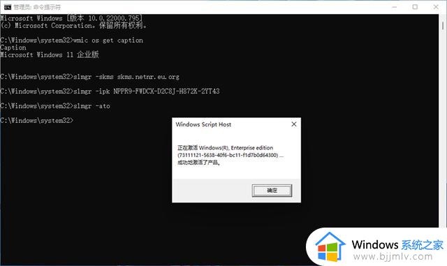自动绕过TPM2.0和Secure Boot以及内存检查安装Windows11的方法