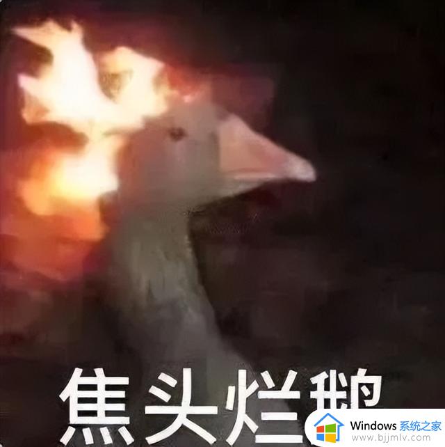 调教Windows，果然还得看微软总部