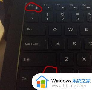 win10戴尔笔记本怎么关闭fn功能键 win10戴尔笔记本如何关闭fn快捷键