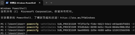 win11设置搭载12或13代处理器P大核优先图文步骤