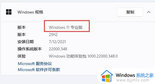 win11组策略编辑器打不开怎么办 win11组策略编辑器无法打开如何解决