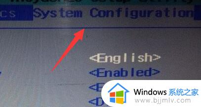 win11系统bios怎么设置中文 win11 bios调中文的方法
