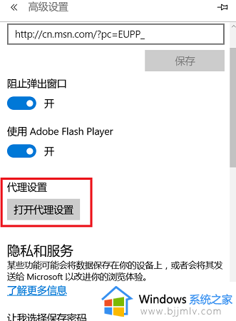 win11浏览器打不开网页但能上网为什么_win11电脑有网但浏览器打不开网页如何处理