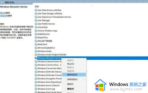 电脑找不到windows hello指纹的指纹识别器修复方法
