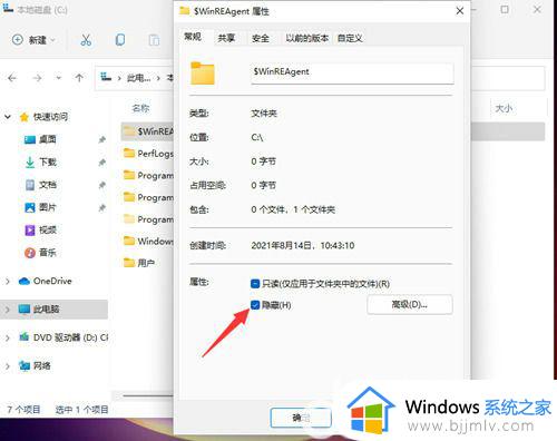 windows11如何查看隐藏文件_隐藏文件夹怎么显示win11