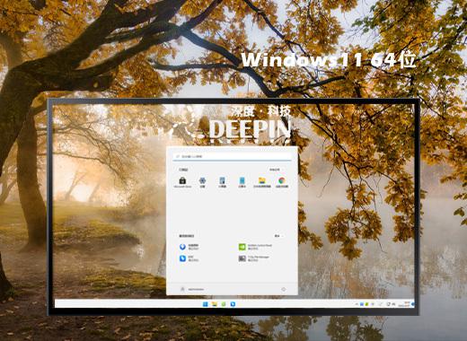 深度技术ghost win11 64位稳定专业版下载v2024.06