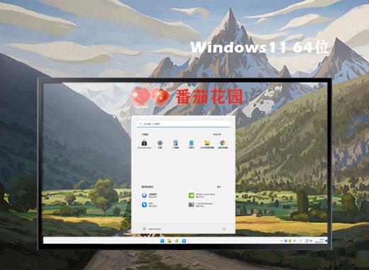 番茄花园ghost win11 64位标准专业版下载v2024.07
