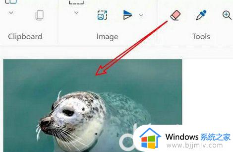 win11照片怎么改大小200kb win11电脑怎么调整照片大小200kb