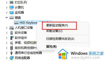 win11 键盘鼠标失灵怎么恢复_windows11键盘鼠标失灵如何解决