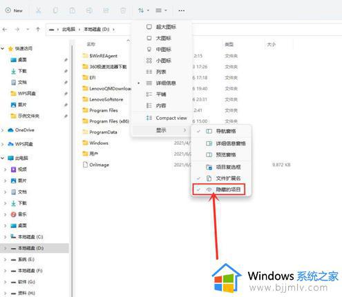 怎么查看隐藏文件win11_win11如何查看隐藏文件