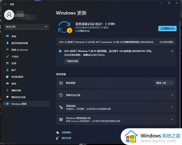 0x8007000d安装失败win11解决办法 win11更新错误0x8007000如何处理