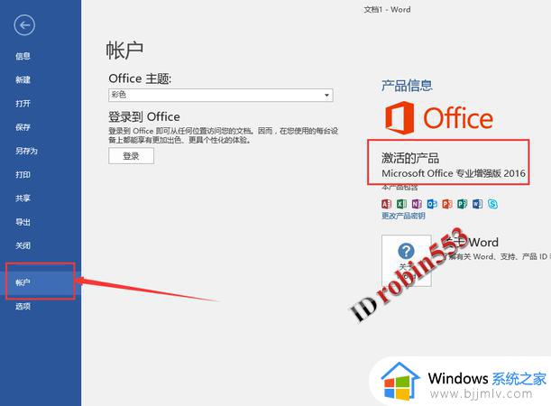 win11 office2016激活方法 win11如何激活office2016
