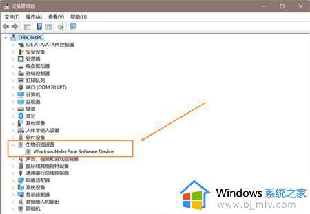 windows11 hello人脸识别设置不了怎么回事_windows11设置不了脸部识别解决办法
