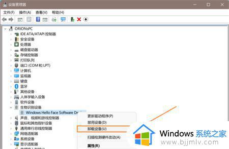 windows11 hello人脸识别设置不了怎么回事_windows11设置不了脸部识别解决办法