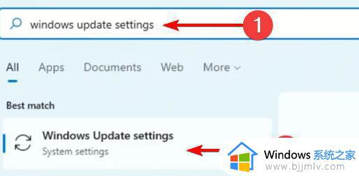 windows11无声音应该怎样解决_windows11电脑没有声音了怎么办