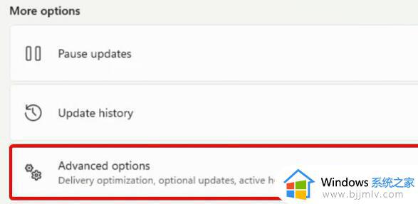 windows11无声音应该怎样解决_windows11电脑没有声音了怎么办