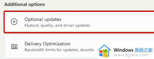 windows11无声音应该怎样解决_windows11电脑没有声音了怎么办