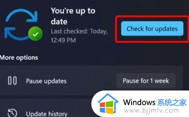 win11更新一直正在更新中怎么办_win11一直卡在更新正在进行中解决方法